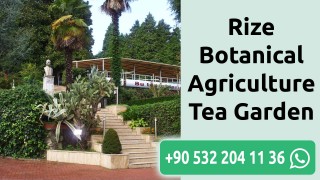 Rize Botanical Agriculture Tea Garden